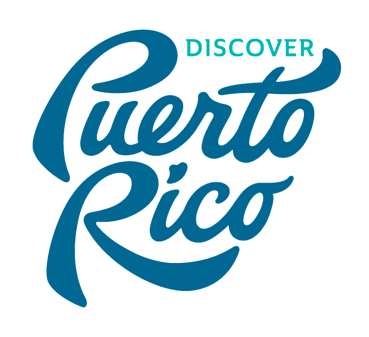 seo-mallorca-creador-contenidos-discover-puerto-rico-logo
